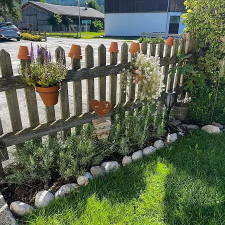 Alte Schmiede Pensión 3*