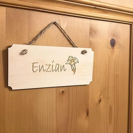 Penzion Alte Schmiede 4*