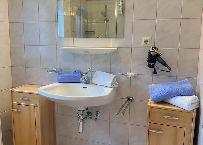 Pensión Alte Schmiede 3*